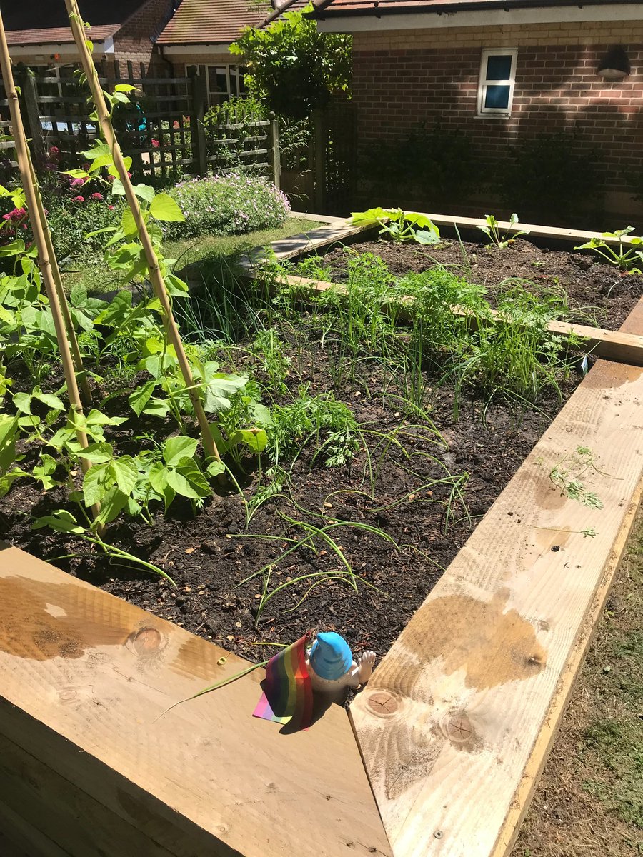 DHCRehab's tweet photo. Lovely to see our new raised beds at Glendinning coming to life! https://t.co/57lAmTQCVk