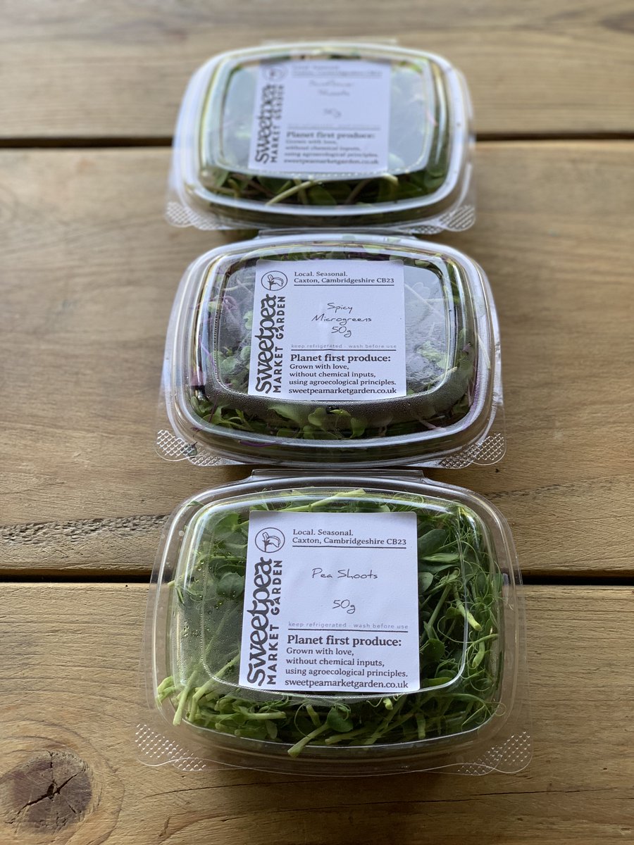 Feeling summery + wanting to eat healthy? Try organic salad greens locally grown in Caxton by the brilliant @sweetpeamarketgarden 
Pea + sunflower shoots &amp; microgreens …grown with love, without chemical inputs, following agroecological principles + all with compostable packaging