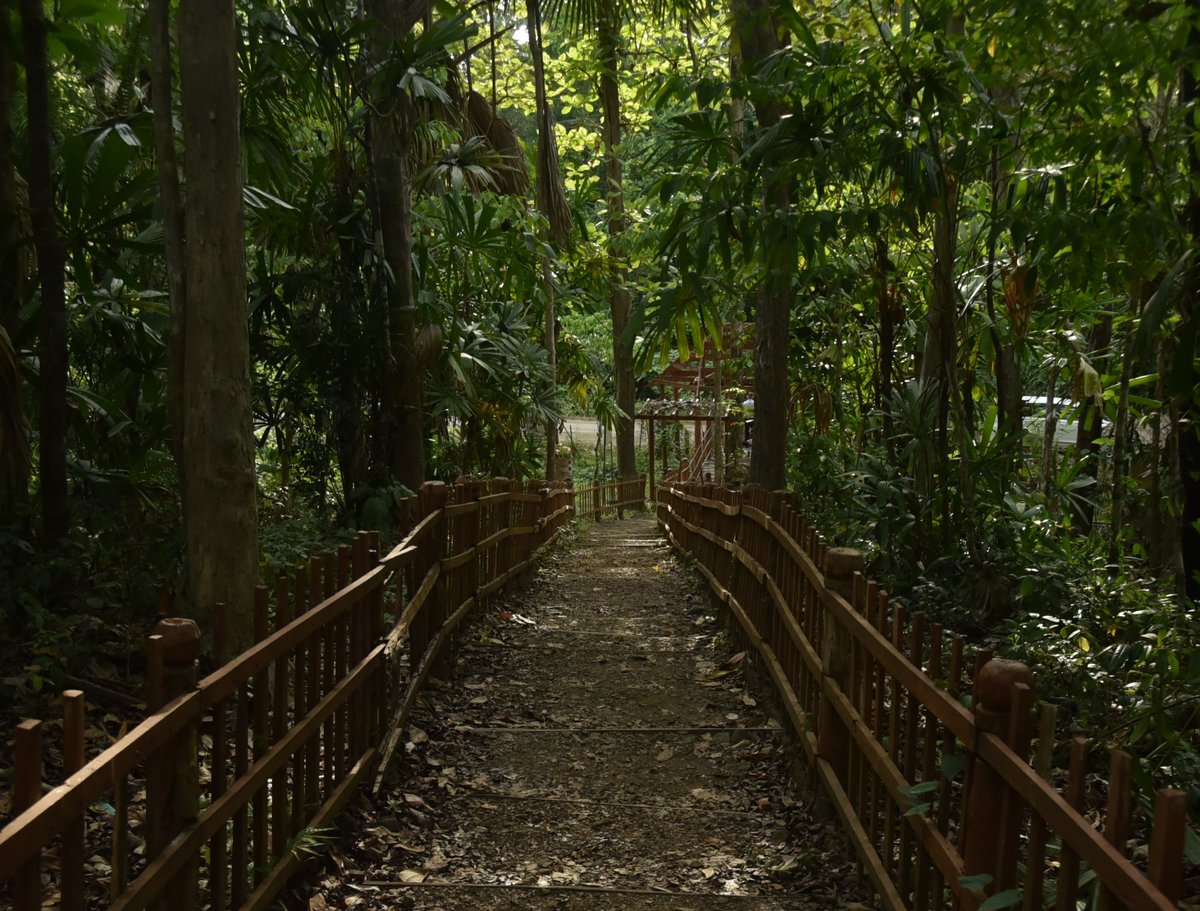 India, a biodiversity rich tropical country with 80.90 million hectares of forest and tree cover, now has a country specific FSC Forest Stewardship Standard. The standard becomes effective from 01 September 2022.
Read more: asiapacific.fsc.org/newsfeed/the-f…