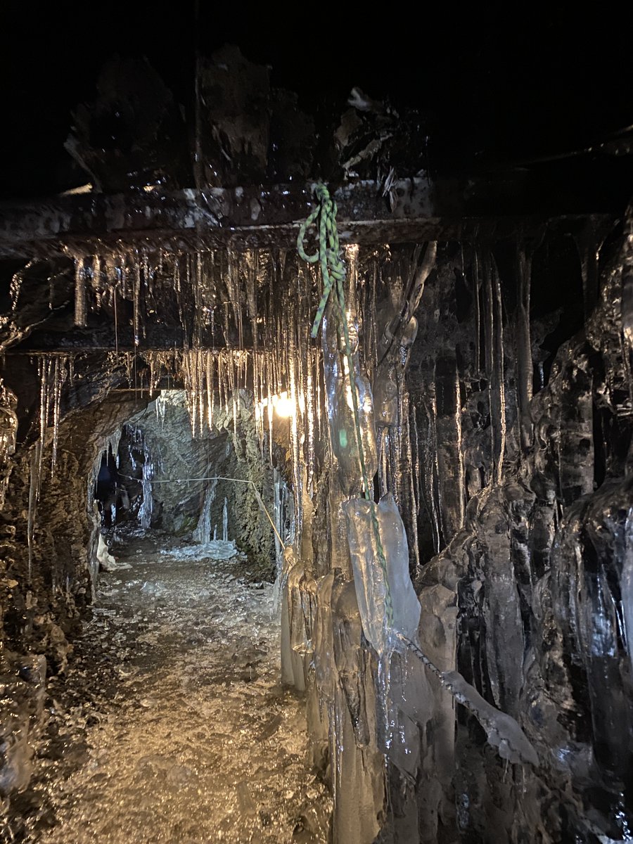 tskane66's tweet image. 