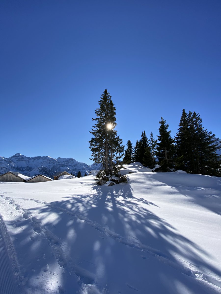 tskane66's tweet image. 