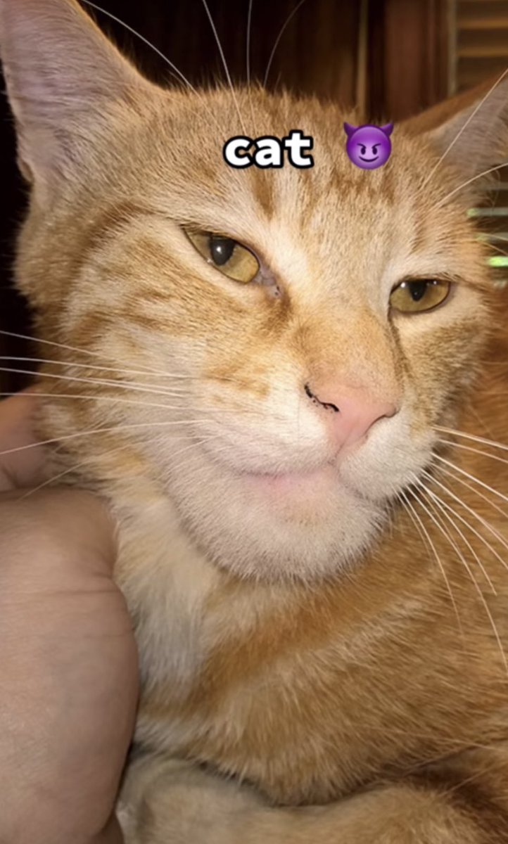 𝙏𝙝𝙚 𝙋𝙖𝙡𝙚 𝙎𝙚𝙧𝙥𝙚𝙣𝙩. (@trouvxilie) on Twitter photo 