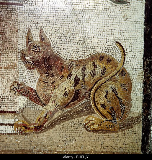 Mosaïque romaine de Pompéi .
#PoseTonPotichat