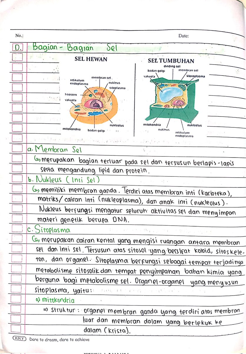 stdyken's tweet image. CATATAN BIOLOGI KELAS 11
( SEL, JARINGAN HEWAN DAN TUMBUHAN, SISTEM GERAK )
1. Struktur dan Fungsi Sel