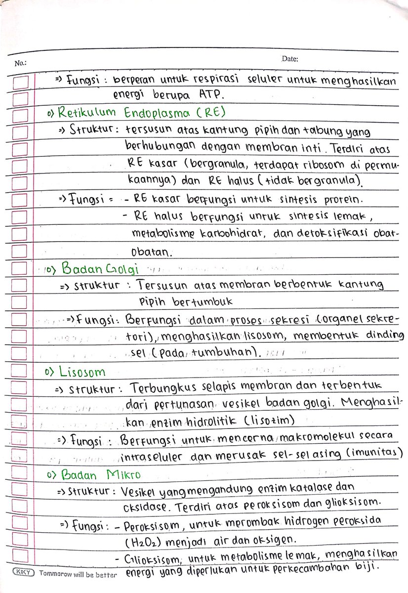 stdyken's tweet image. CATATAN BIOLOGI KELAS 11
( SEL, JARINGAN HEWAN DAN TUMBUHAN, SISTEM GERAK )
1. Struktur dan Fungsi Sel