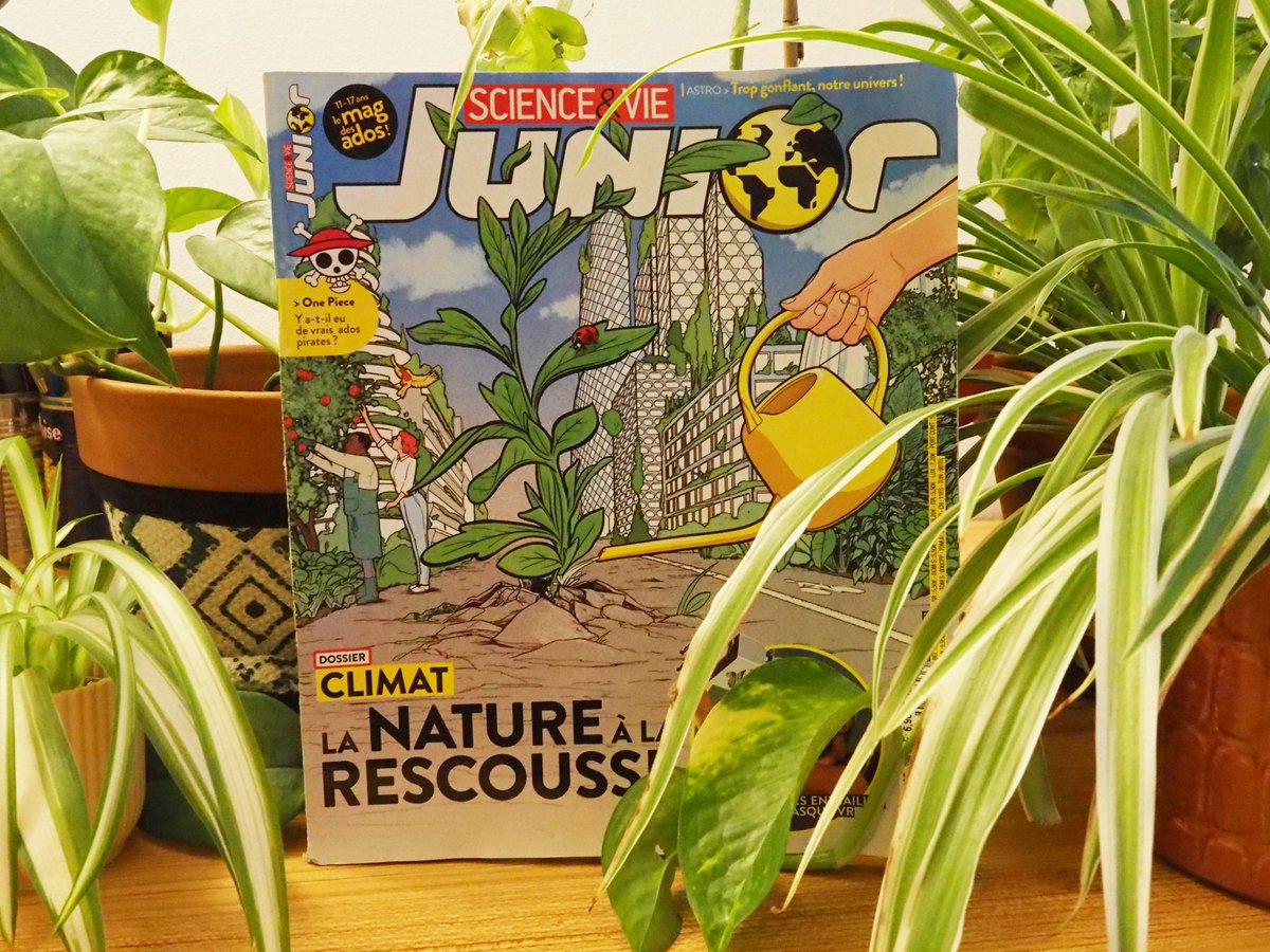 Canicules, sécheresse, submersions marines… La nature est notre meilleure alliée pour y faire face. Un dossier concocté avec @HugoLer27480854 dont je ne suis pas peu fière, à lire dans le #scienceetviejunior actuellement en kiosques ! 
#naturebasedsolutions #giec