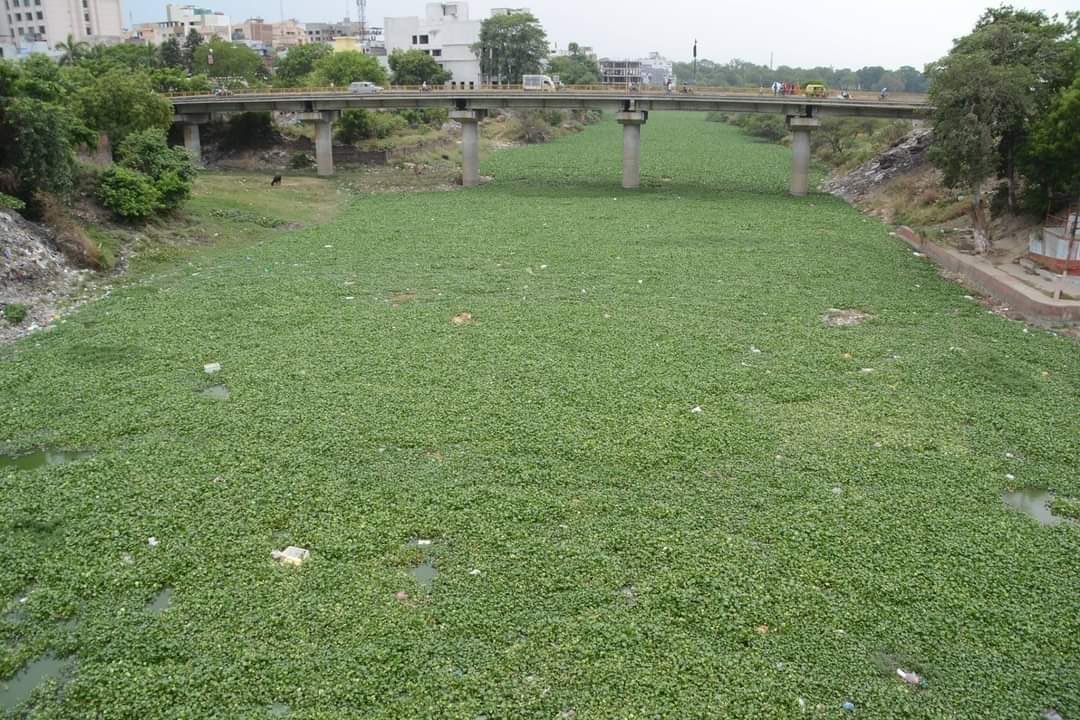 वाराणसी में वरुणा नदी की यह दुर्दशा…