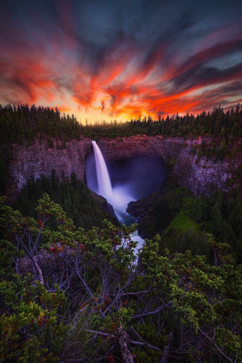 Gm☕️ Good light to you all.