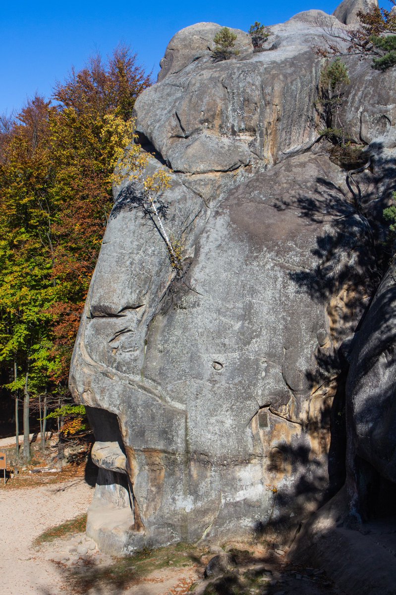 krutovig's tweet photo. Dovbush rocks full of pareidolia shapes. Some of them have funny names, as: Salvador Dali’s case, Tulip, Ragdoll, Witch Array, Jolly Roger, The Silence of the Lambs, Imposters from Space. 

#carpatians #mountains #fall #travel #wanderlust #autumn https://t.co/BJhsVlGK2T