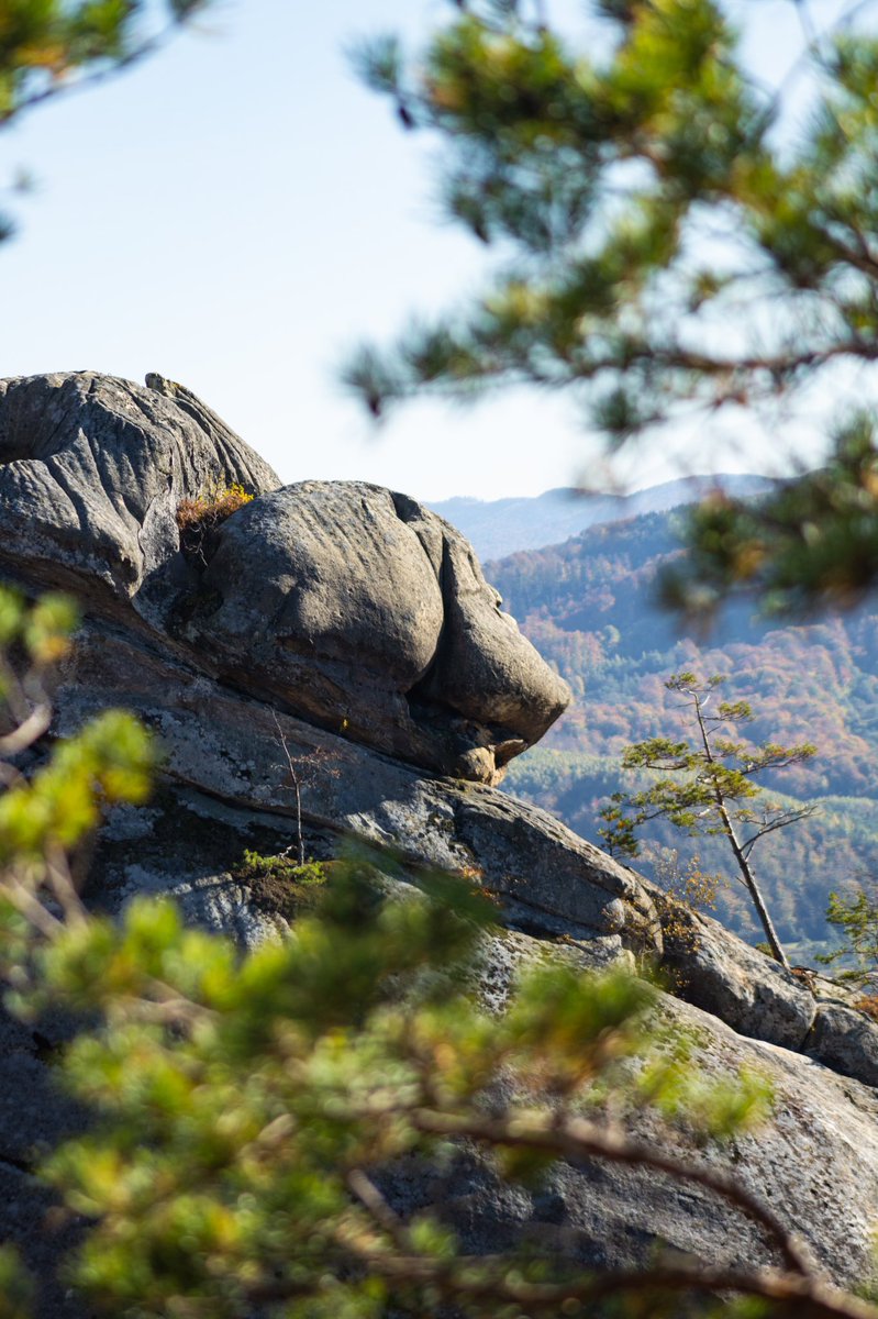 krutovig's tweet photo. Dovbush rocks full of pareidolia shapes. Some of them have funny names, as: Salvador Dali’s case, Tulip, Ragdoll, Witch Array, Jolly Roger, The Silence of the Lambs, Imposters from Space. 

#carpatians #mountains #fall #travel #wanderlust #autumn https://t.co/BJhsVlGK2T