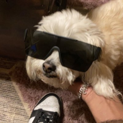 Collin2Cs's tweet image. #NewProfilePic