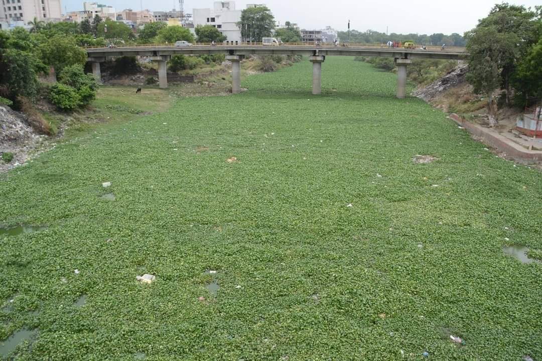 ajwadqaasmi's tweet photo. वाराणसी में वरुणा नदी की हालत https://t.co/PMUehAXDlN