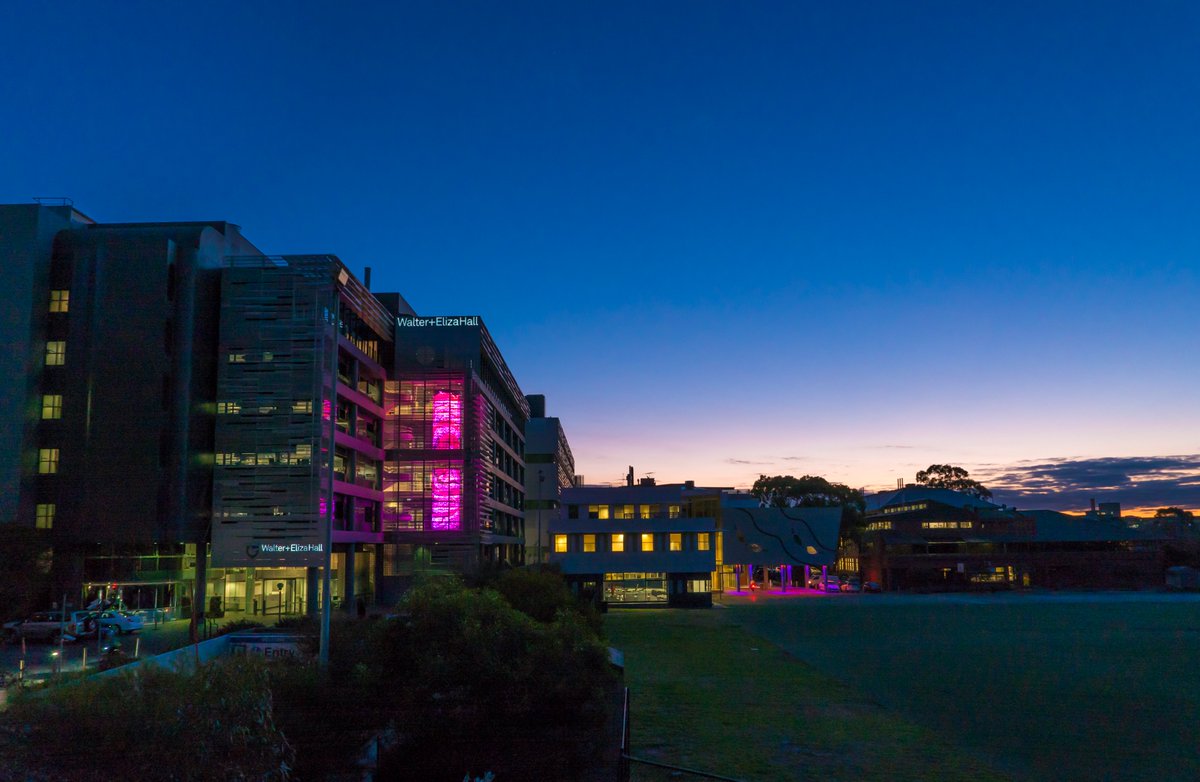 WEHI (Walter and Eliza Hall Institute) tweet media