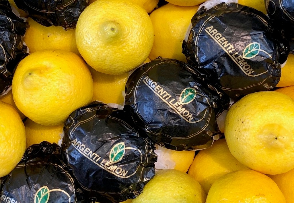 BANAGRUMES's tweet photo. Le citron Eureka Pony d’Argentine est de retour chez Banagrumes
#citron #banagrumes #citronnade😏🍋🇦🇷🌞 https://t.co/NGPCkD8lCl