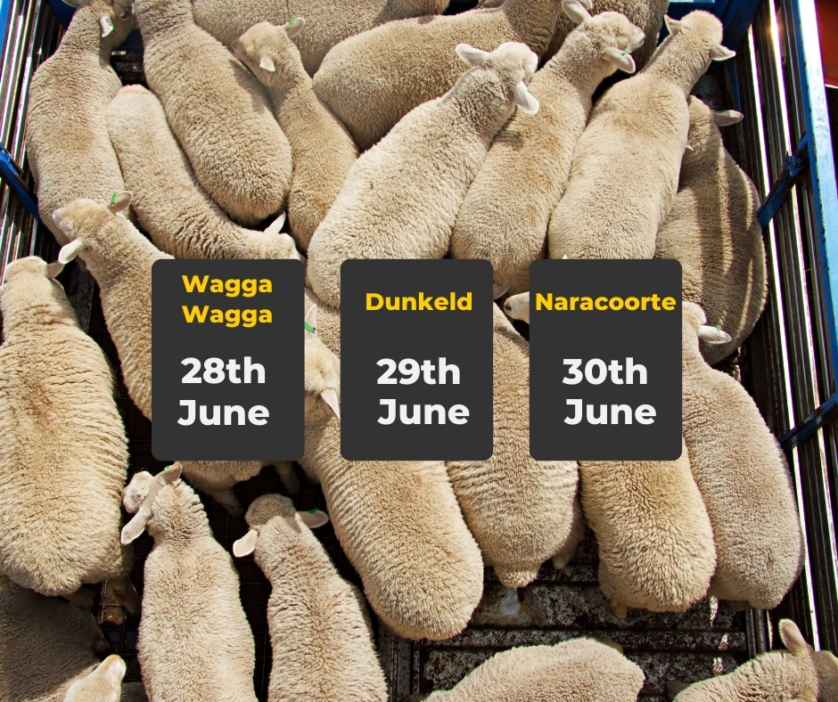Hear about the latest research in ewe lamb mating and to be one of the first producers to use the new decision support tool being developed.  

Join this workshop next week. Register on the Hub: thehub.nextgenagri.com/c/public-event… 

#nextgenagri #ewelamb #farmingaus