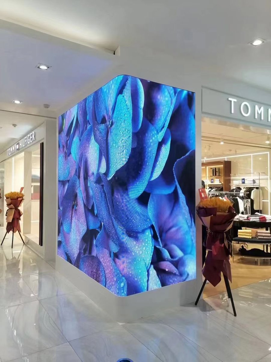 KingColor2008's tweet image. 