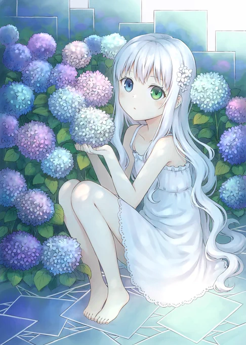 白と紫陽花 