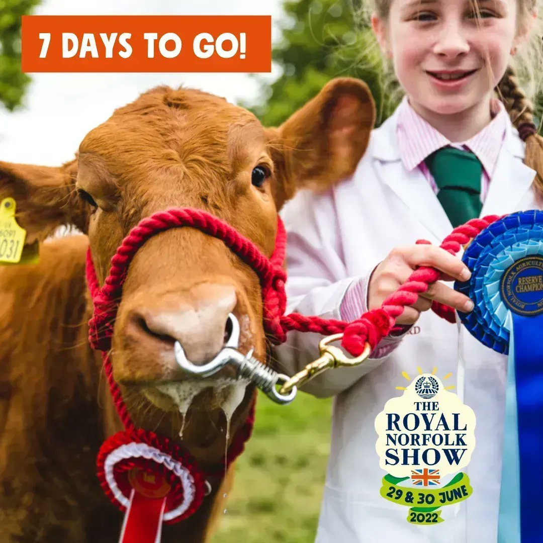 norfolkshow's tweet photo. 🐄 7 Days To Go 🐄

📲 Save money and buy your tickets online - https://t.co/cbVWEMk9BD
OR
🎟 Buy on THE GATE on the day!

#royalnorfolkshow #norfolkshowground #countyshow #norfolk #events #norwich @theshowground https://t.co/hZQ9tb0B03