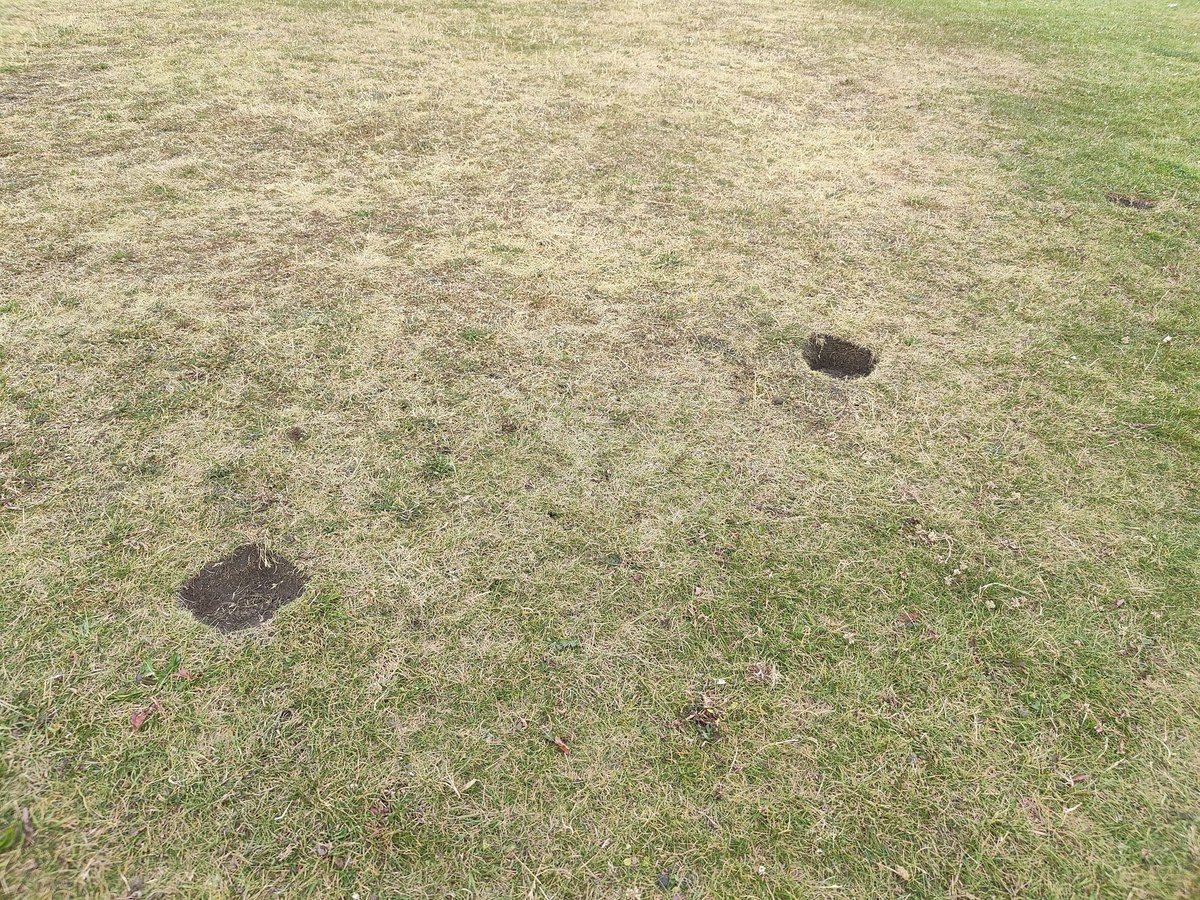 Mark Dutton (@sparkler21) on Twitter photo So what's is all this about then on #whitleybay links? Metal detectors? Whatever... Bloody stop it. My dog had already hurt one back leg badly going down one of these holes never mind the mess. <a href="/NTCouncilTeam/">North Tyneside Council</a> So what's is all this about then on #whitleybay links? Metal detectors? Whatever... Bloody stop it. My dog had already hurt one back leg badly going down one of these holes never mind the mess. <a href="/NTCouncilTeam/">North Tyneside Council</a>