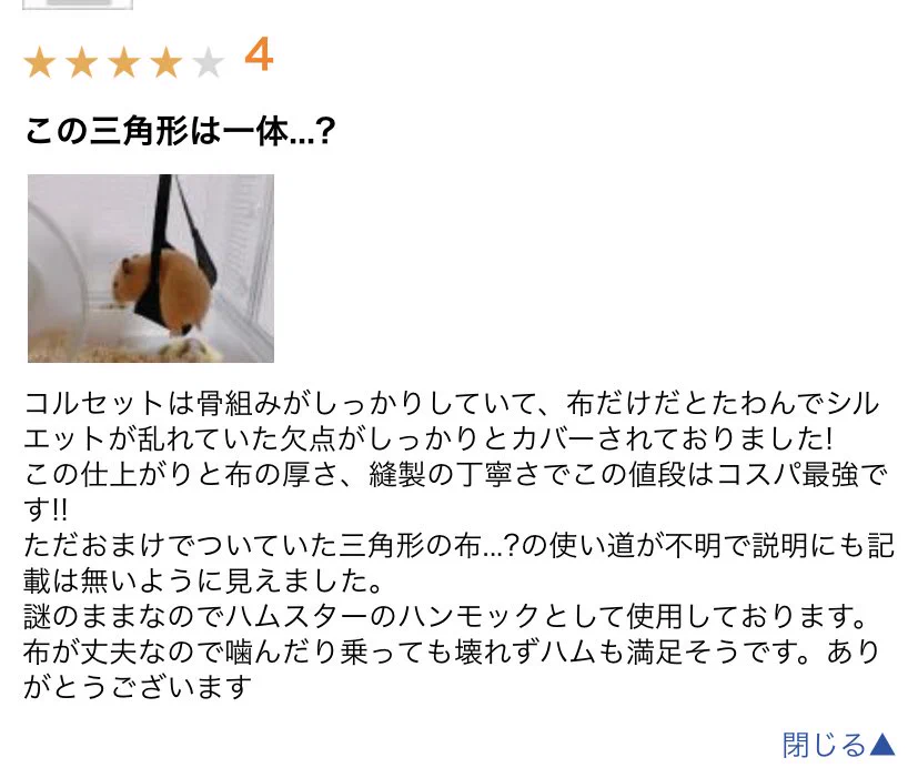 姿勢矯正用コルセットのおまけの使い道が分からない！！ハムスターは楽しそうだが…www
