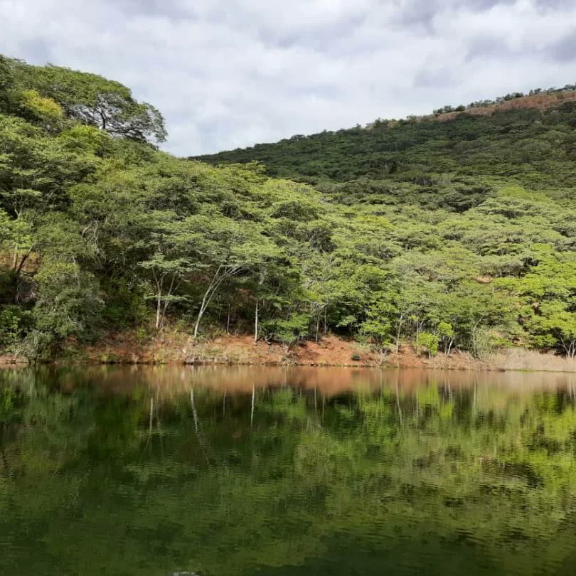 hippo_resort's tweet photo. PARADISE FOUND #HIPPOCREEKRESORT #MASVINGO #tourism #Hospitality #nature #lakemutirikwi #lakekyle https://t.co/9Pz04RBfVV