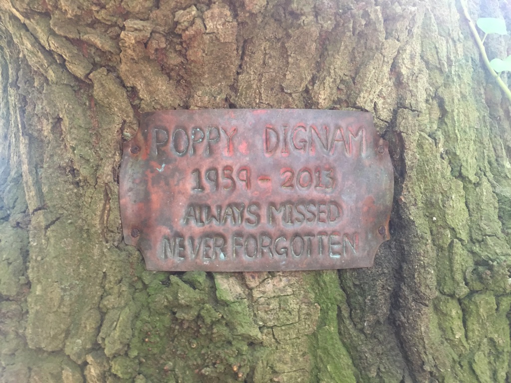 Sword Security tweet media