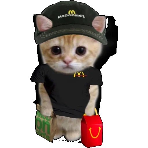 BladeTester's tweet image. Heading back to my hometown to spend time with family , bye bye LA