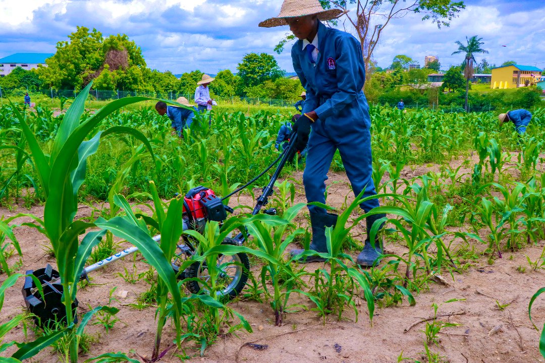 Everybody needs #Food. 
#Agriculture is the priority.
And #STEP is grooming future #Agribusiness leaders.
#Agtwitter #agribusinesstalk