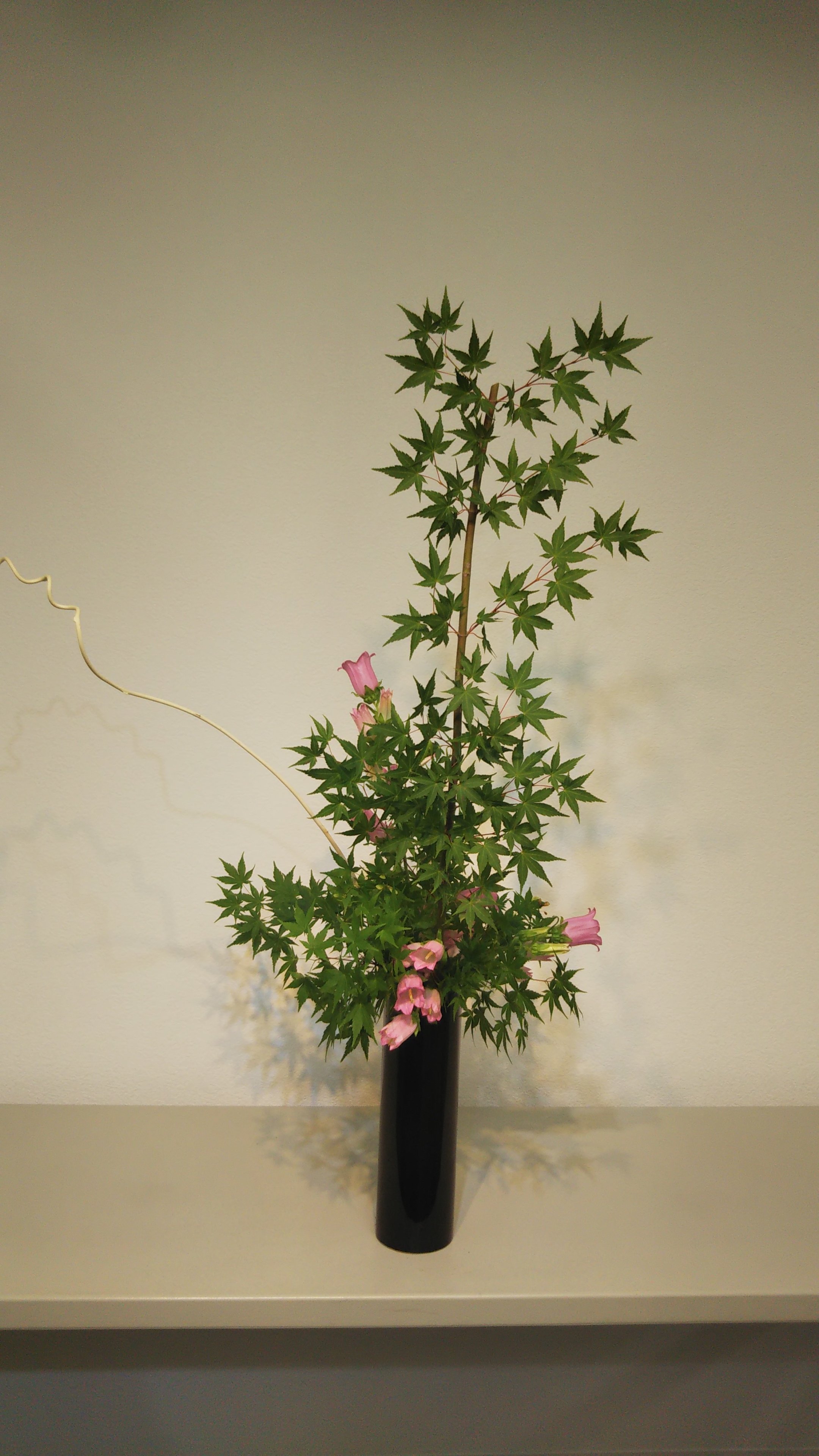 花散里 夏至 6月21日 に假屋崎省吾花教室で レッスンを受けました 初回ですので フリースタイルで3作品を生けました 花 だけを見て花のことだけを考える時間 花に触れると気持ちが整理されて 心にゆとりが持てます 假屋崎省吾 T Co