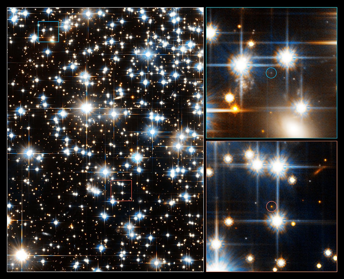 HUBBLE_space's tweet photo. The Advanced Camera found the faintest red dwarf stars and the dimmest white dwarfs.
Learn more about White Dwarfs from our 📖 #HubbleWordBank: 🔗 https://t.co/E2lnxoDKt6
Credit: @esa / @NASA / H. Richer ( @UBC ) https://t.co/aqiDNCXlQ6