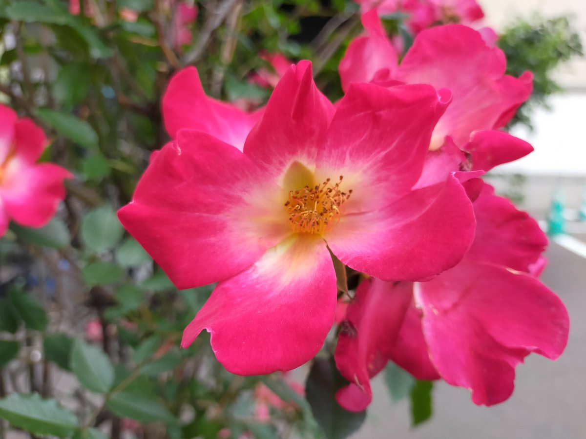 cryptoskeleton1's tweet image. 