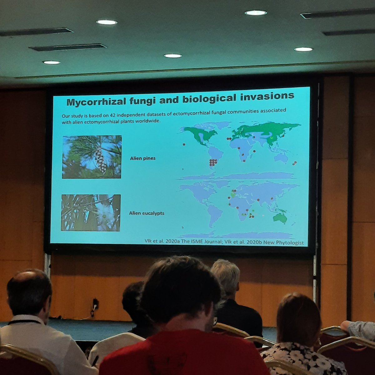 Petr Kohout gave a wonderful talk about global distribution of mycorrhizal fungi. Many interesting things emerging including the invasion of mycorrhizal fungal taxa together with invasive plants. #esm2022