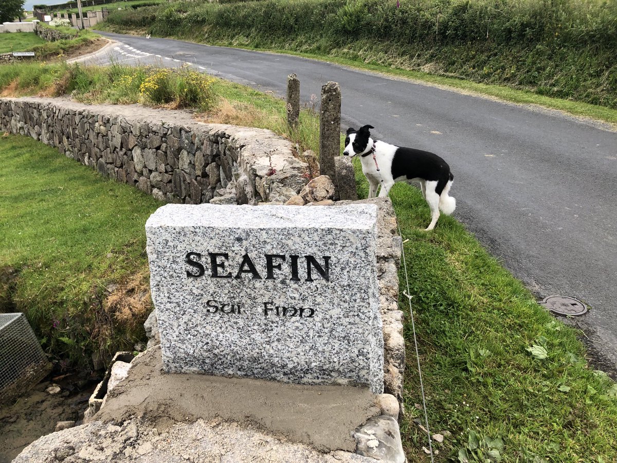 Delighted to see this new addition on my walk this morning. Thanks to those involved. ⁦<a href="/EamonnMallie/">Eamonn Mallie</a>⁩ ⁦@unawalsh54⁩