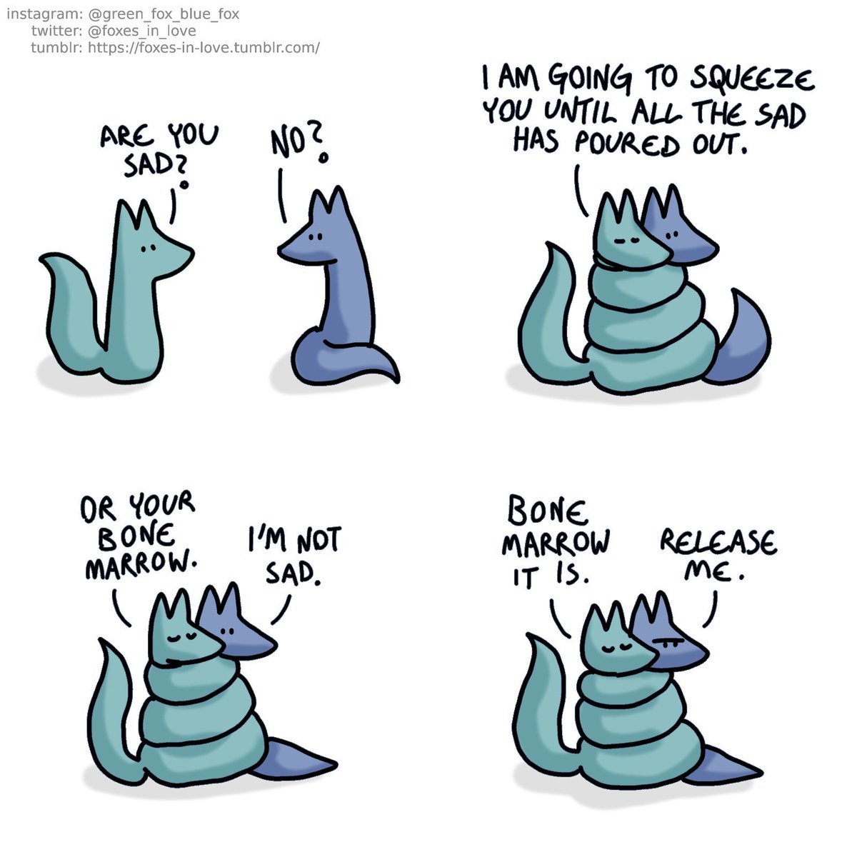 Natacha FANATICUS vermis foraminis ️ ️ ️ on Twitter: "RT @foxes_in_love: