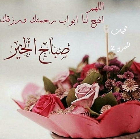 Z_Masry محطم الأصنام (@z__masry) on Twitter photo <a href="/jrilll/">༺ ĴỮŘI ༻</a>
<a href="/m_izri/">izri</a>
<a href="/a_wagf/">❤️!!.مأواگ الجنة.!!❤️</a>
<a href="/SadYoluo/">Yoluo.Sorrower</a>
<a href="/Eman__1__/">آڀـمۭــ𝓮𝓶𝓪𝓷ـآنۨ 🇵🇸غـــ𓂆ـــــــزة🇵🇸</a>
<a href="/Hwor13/">Hwor</a>
<a href="/sammr3/">ᏕᎯᗰᎯᖇ</a>
<a href="/11Liberte/">حرية ✍️ أمل</a>
<a href="/Sabaah0/">صباح الخير</a>
<a href="/qoraan85/">مواطنة مصرية🇵🇸</a>
<a href="/Riana_g4_/">أَوْرَاقْـ . أَيْٰـلہٰـولہْٰ .. 𓂆🇵🇸</a>
<a href="/HobaBob11/">Hoba Bob</a>
<a href="/mikyosman/">miky 🙈🙉🙊ميكي ( فجر الحريه )</a>
<a href="/Nadia6507/">Nadiaa</a>
<a href="/me_hanadii/">Hanadi</a>
<a href="/essameglan/">Essam Eglan</a>
<a href="/NaghamGad4/">🎵NaghamGad</a>
<a href="/YasserA87293/">Yasser AL-hamamy</a>
<a href="/GhassanBadr2/">Ghassan Badr</a>
<a href="/hesham2238/">هشام محمد✨</a>
<a href="/Bassam_R0ck/">بَسآم ☻</a>
<a href="/230630amen/">Ali Amen</a>
<a href="/ahmd46171480/">احمد</a> <a href="/jrilll/">༺ ĴỮŘI ༻</a>
<a href="/m_izri/">izri</a>
<a href="/a_wagf/">❤️!!.مأواگ الجنة.!!❤️</a>
<a href="/SadYoluo/">Yoluo.Sorrower</a>
<a href="/Eman__1__/">آڀـمۭــ𝓮𝓶𝓪𝓷ـآنۨ 🇵🇸غـــ𓂆ـــــــزة🇵🇸</a>
<a href="/Hwor13/">Hwor</a>
<a href="/sammr3/">ᏕᎯᗰᎯᖇ</a>
<a href="/11Liberte/">حرية ✍️ أمل</a>
<a href="/Sabaah0/">صباح الخير</a>
<a href="/qoraan85/">مواطنة مصرية🇵🇸</a>
<a href="/Riana_g4_/">أَوْرَاقْـ . أَيْٰـلہٰـولہْٰ .. 𓂆🇵🇸</a>
<a href="/HobaBob11/">Hoba Bob</a>
<a href="/mikyosman/">miky 🙈🙉🙊ميكي ( فجر الحريه )</a>
<a href="/Nadia6507/">Nadiaa</a>
<a href="/me_hanadii/">Hanadi</a>
<a href="/essameglan/">Essam Eglan</a>
<a href="/NaghamGad4/">🎵NaghamGad</a>
<a href="/YasserA87293/">Yasser AL-hamamy</a>
<a href="/GhassanBadr2/">Ghassan Badr</a>
<a href="/hesham2238/">هشام محمد✨</a>
<a href="/Bassam_R0ck/">بَسآم ☻</a>
<a href="/230630amen/">Ali Amen</a>
<a href="/ahmd46171480/">احمد</a>