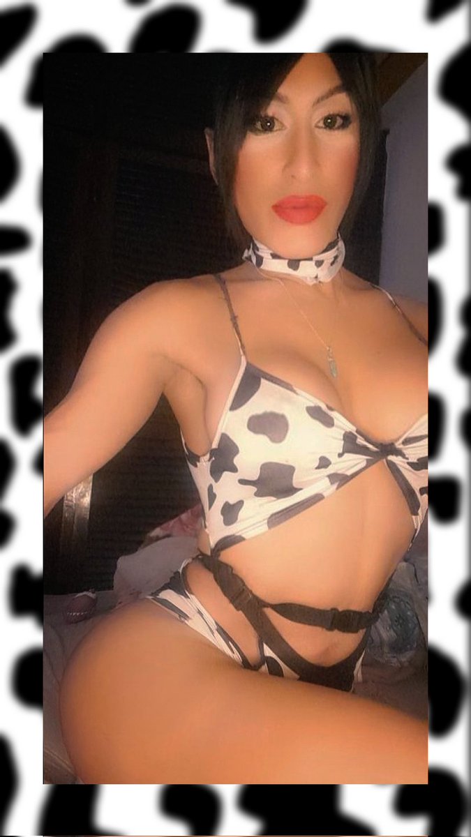 transEVAEGIPCIA's tweet photo. @blacktgirltube @brtransex @h_trans1 @SriLankanTrans @shemale520ts @blacktgirltube @LoveTrannysPorn @SexyShe18786220 https://t.co/YRpEeNTCly