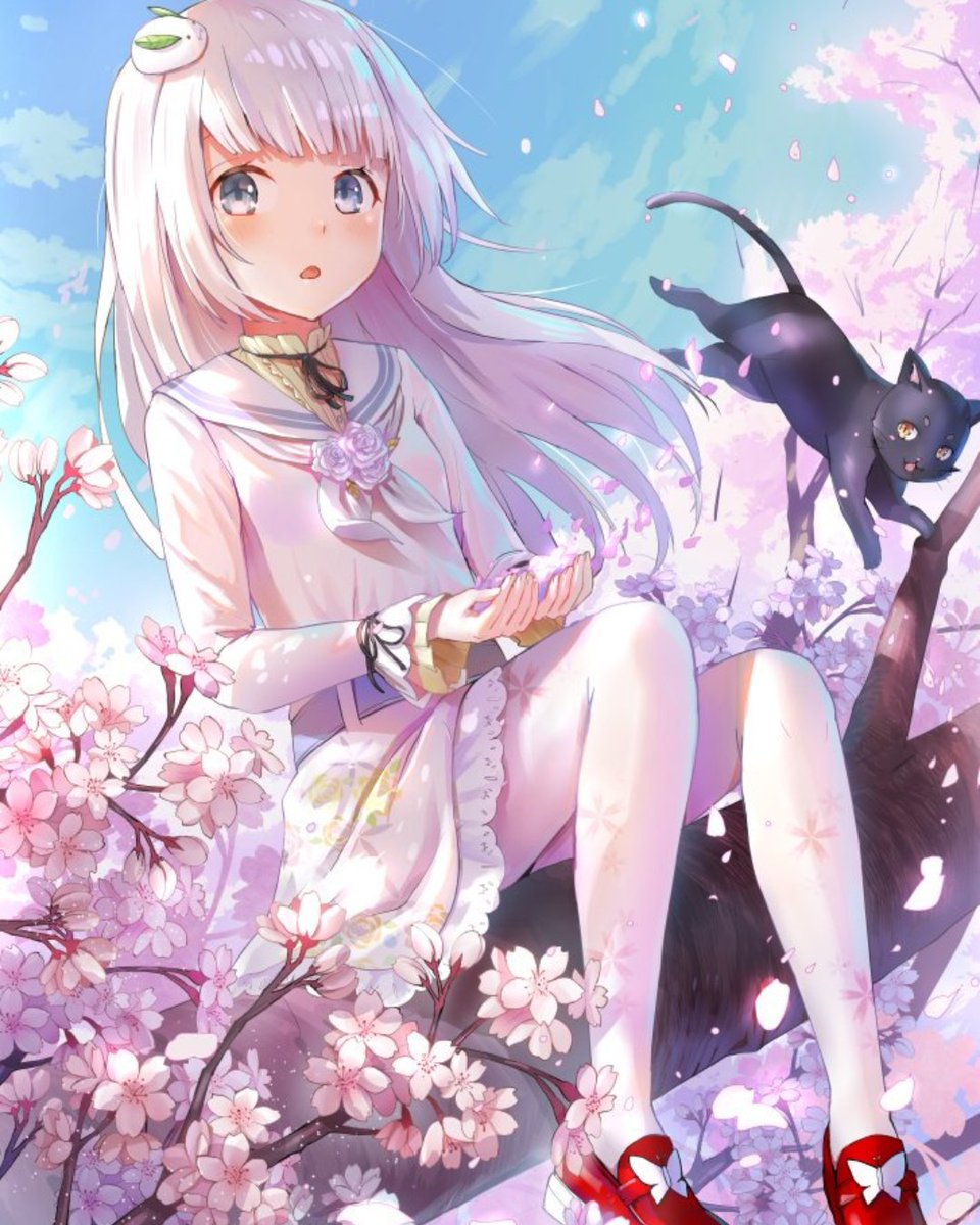 Mini Pops tweet media