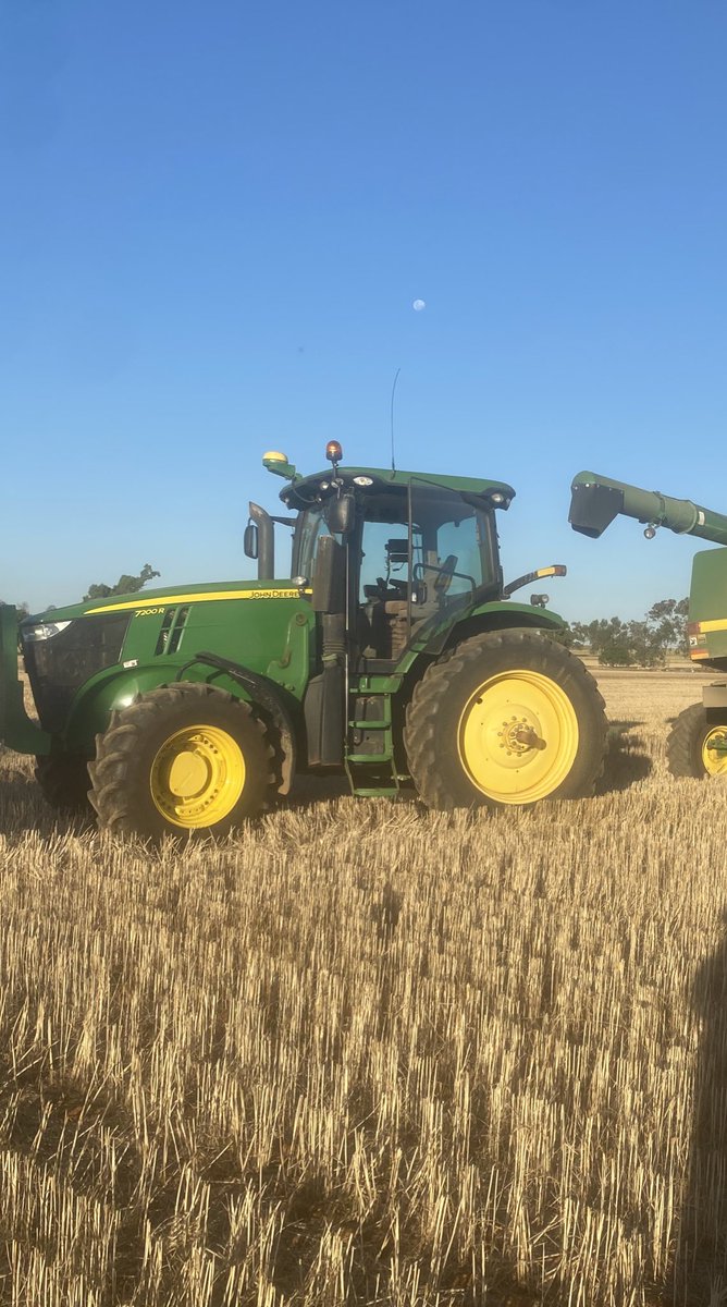 Tim Coyle tweet media