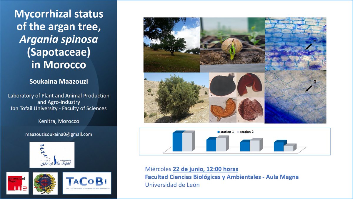 TACOBI_Unileon's tweet photo. This morning #SoukainaMazzouzi will talk about the #ArganTree and the importance of micorhization. ℹ️ Faculty of Biological & Environmental Sciences @unileon Aula Magna, 12:00 https://t.co/tWLbODetvC