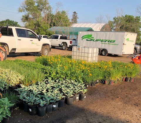 SuperbPropMain's tweet photo. It's a #Superb day for MORE
planting. A reminder with this heat - hydrate yourself
and your plants. #waterisgood #plantingcontinues
#happyclients https://t.co/0n8Yv1n2lH