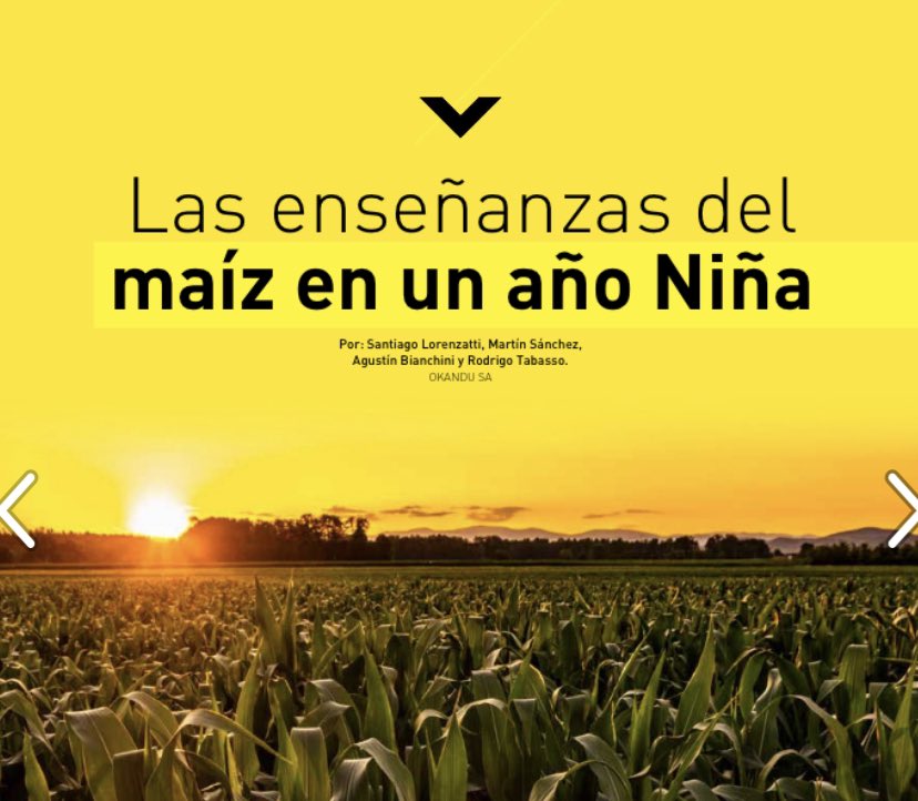 okandu_sa's tweet photo. Descubrí en @HorizonteA nuestra nota sobre manejo de maíz y las enseñanzas que nos dejó un año Niña. ✍🏼 @sanlorenzatti @MartinSanchezIA @agubianchini @RodrigoTabasso https://t.co/ZYQ3a3ovhD