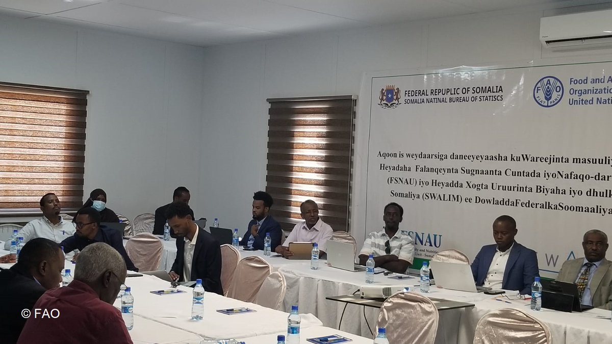 FAO in Somalia tweet media