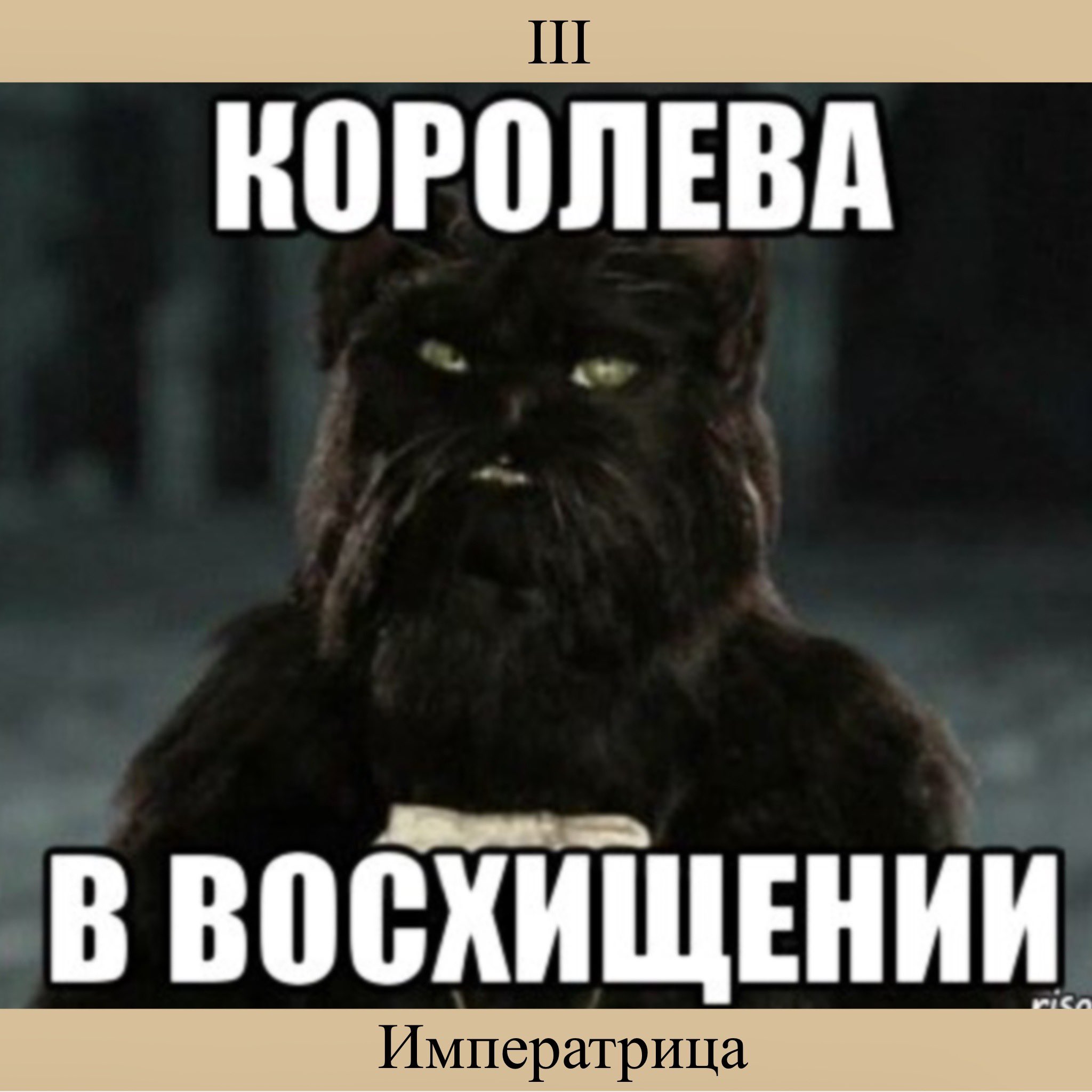 Кот Бегемот Королева в восхищении