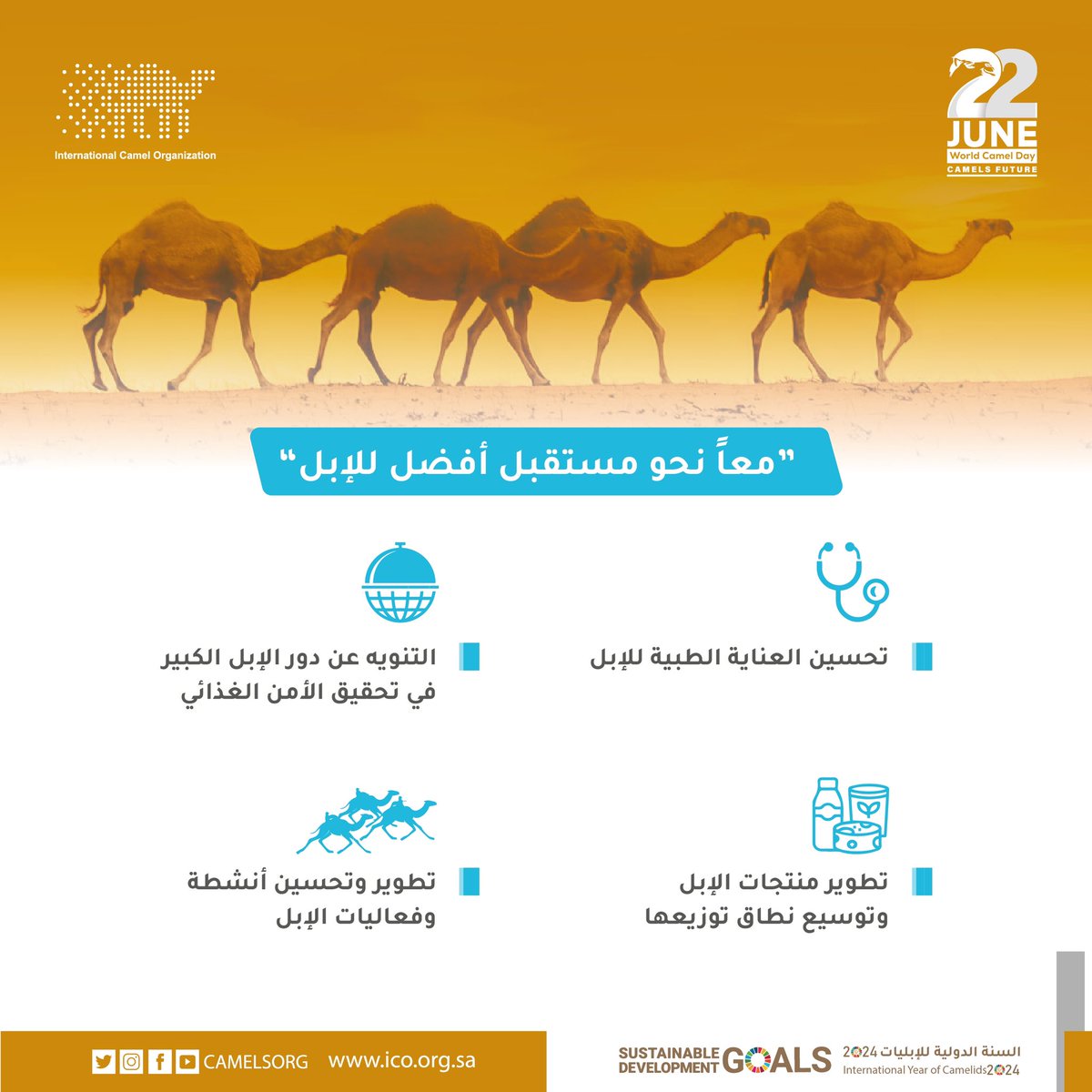 ‎‏ International Camel Organization tweet media