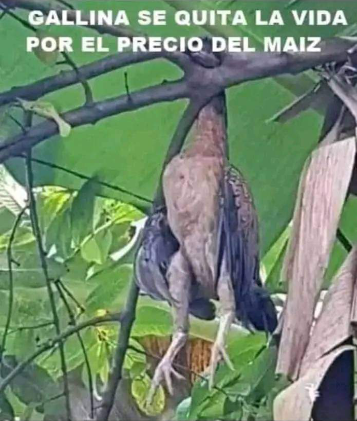 Ésta inflación está imparable!