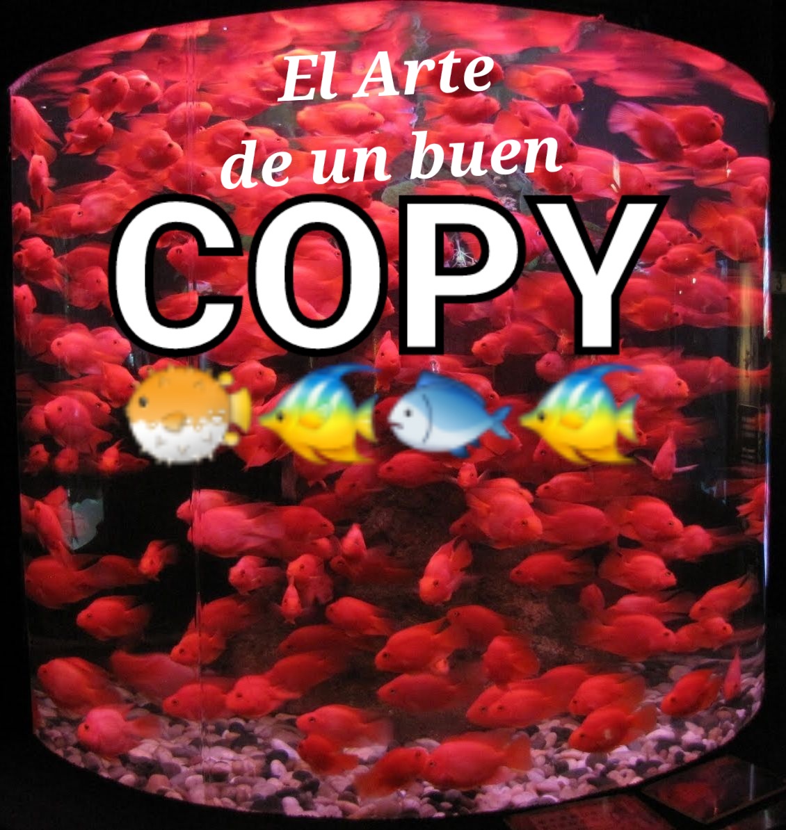 ʞᴎiʜƚiviƚɔA|AIberto🧉🔥 #CMEventos 𝕏 #AITerritory tweet media