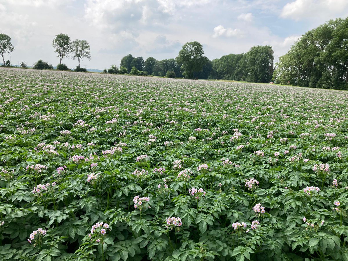 Van natuur kun je niet eten. #boerenprotest #voedselschaarste