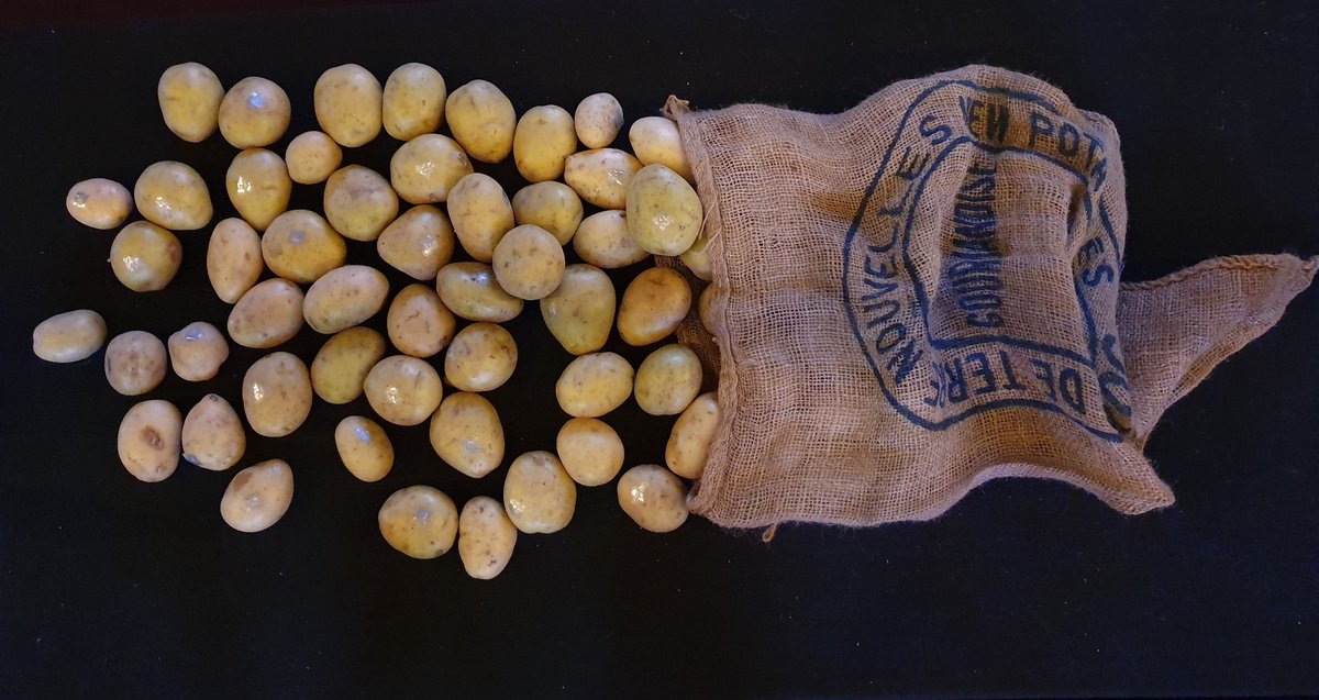 albertinmeunier's tweet image. La Patate Chaude installation
🥔🥔🥔🥔🔥
still a few days to win &quot;NFT stands for Nouvelle Frite Terrienne&quot; ... nobody wins it yet !

#DataDada #PotatoWallet