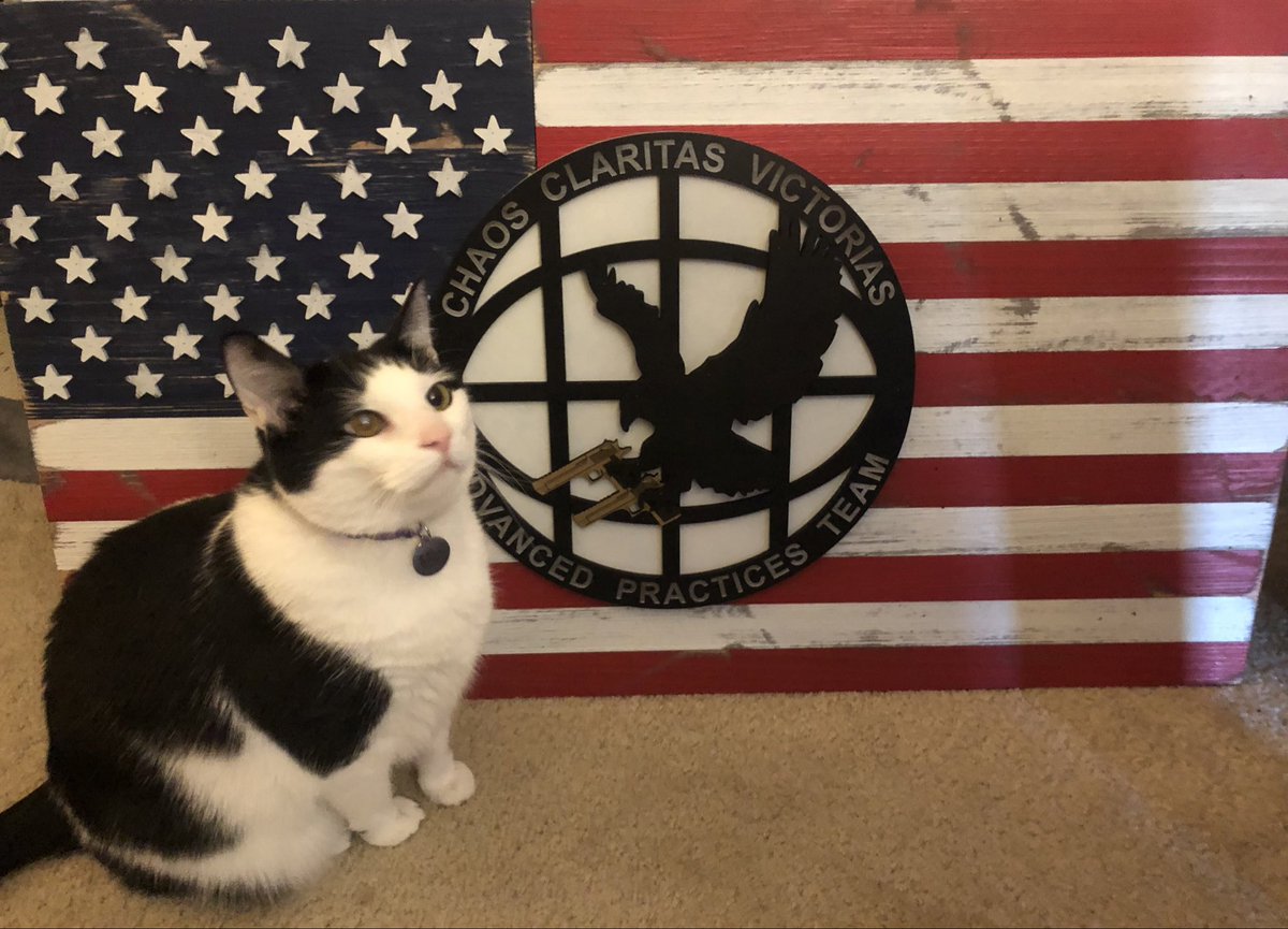 ramen0x3f's tweet image. Just received my flag* as well for my time at @Mandiant! 

It was a big deal for me to hit the 5 year mark in my career while doing cool research with AP ❤️🦅 Stoked I have a memento 

*majestic cat not included