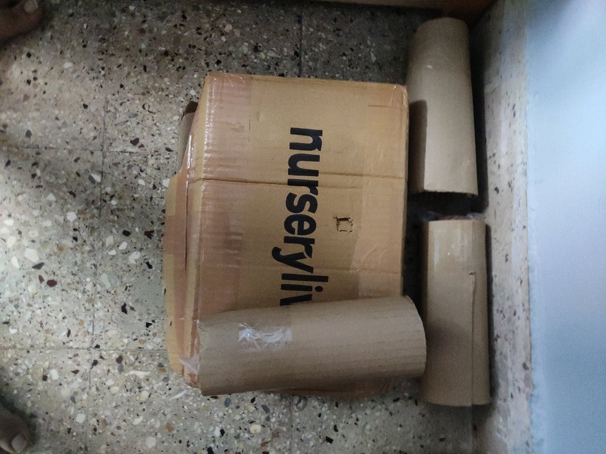 Received free plants from Nurserylive.#nurserylive Thankyou